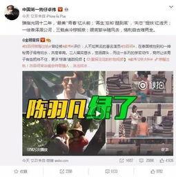 老汪爆料谢东升视频播放,真相与争议
